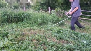 | Косим Заросли Диском | Бензокоса - Мотокоса Baikal Profi БГ