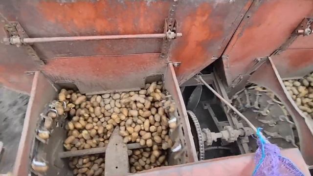 Мтз 820 +Сп 4б, сеим картошку🥔.
