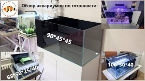 Морские аквариумы с боковыми сампами и черепашник. Обзорчик.