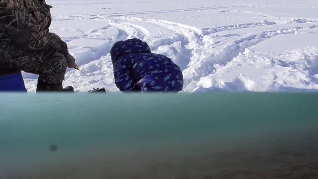 Окунь на балансир. С обеда. смотреть онлайн