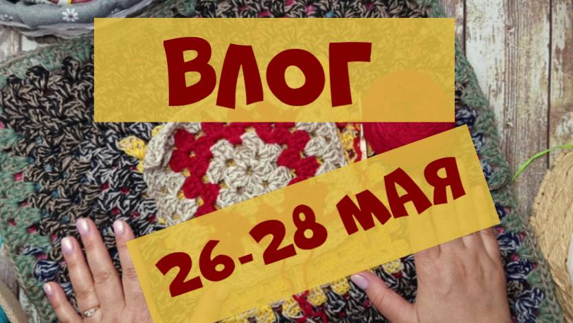 Неделя котопледов смотреть онлайн