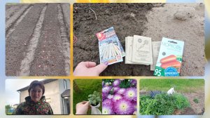 Снова ушли в  запой.Говорю честно.Огородные дела на 1 час