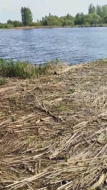 Образовывается новый остров😂 смотреть онлайн