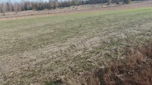 ЮМЗ і углосніми на плуг плн