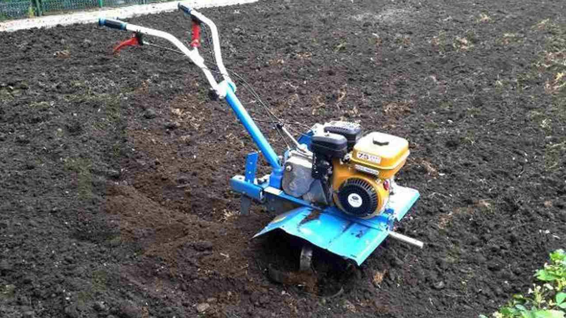 Какое масло заливать в мотоблок?