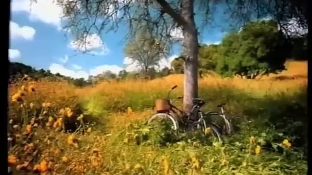 Все скример-рекламы K-fee