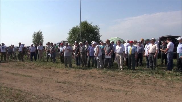 Всероссийская  выставка охотничьих собак гончих пород 07.06.2014 г. Ярославль#собака#топ #hunting
