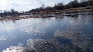 Swimmer 400 R обзор лодки.