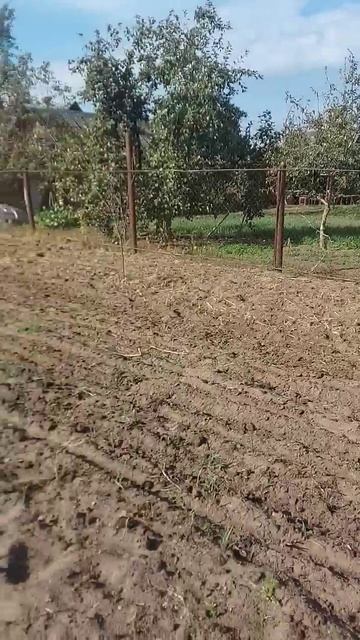 #дача #помощникпохозяйству #культивируемогород смотреть онлайн