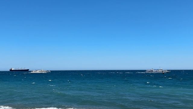 Ялта. Пес Мухтар. Ялтинские Зонтики на набережной. Тепло возвращается. 21.05.2025. Крым.Crimea.Yalta смотреть онлайн