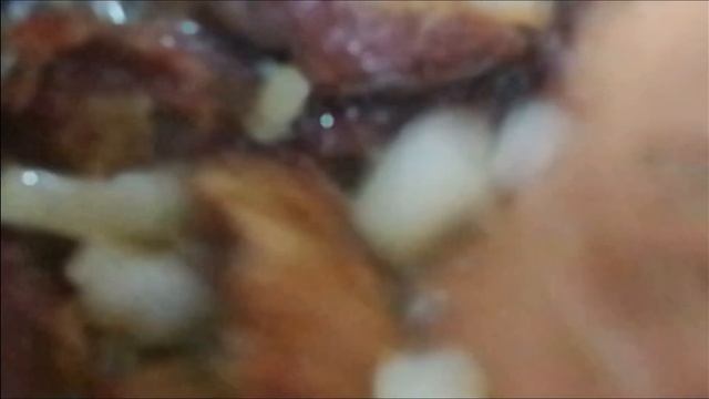 Culinary Connoisseur