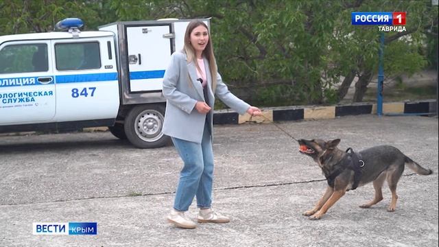 ВЕСТИ-КРЫМ «Звериные истории»: выпуск 28.05.2025