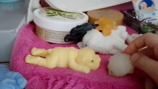 перестановка в доме у сквиши собачек! смотреть онлайн