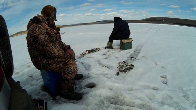 Новичкам везёт.