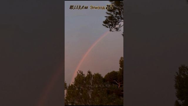 ЭПИЗОД 262 смотреть онлайн