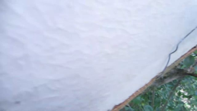 Пчеловодство.Что будет с ловушкой на пчёл из ДВП если часто шли дожди летом.#Роеловство #рой_пчёл смотреть онлайн