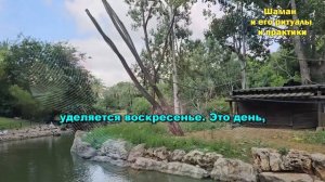 Никогда в этот день не мойте голову. В какие дни недели