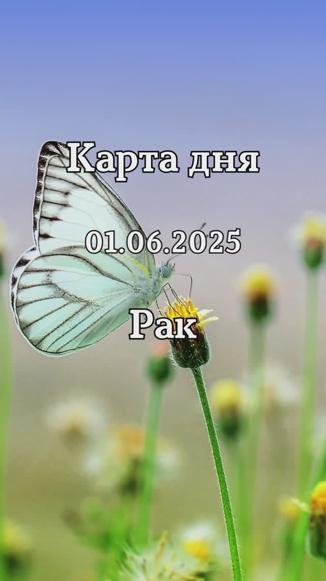 ✨Карта дня 01.06.2025✨ Рак смотреть онлайн