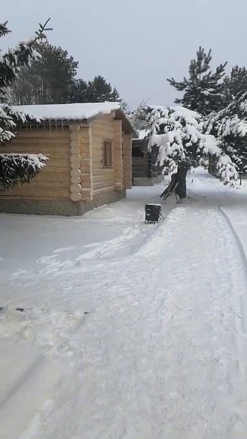 шлифовка сруба зимой смотреть онлайн