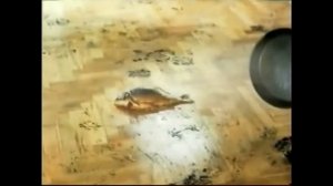 Эволюция Рекламы "Мистер Пропер" (2003-2021)