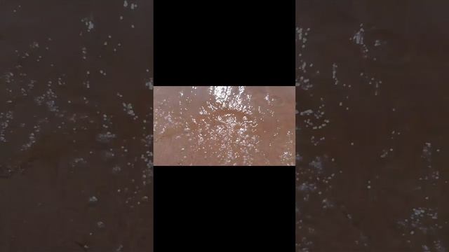мини влог смотреть онлайн