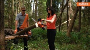 Сравнительный обзор цепных пил DAEWOO DACS 1221Li и STIHL MS180. Кто