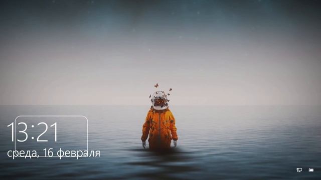 Прямая трансляция пользователя Fox Life