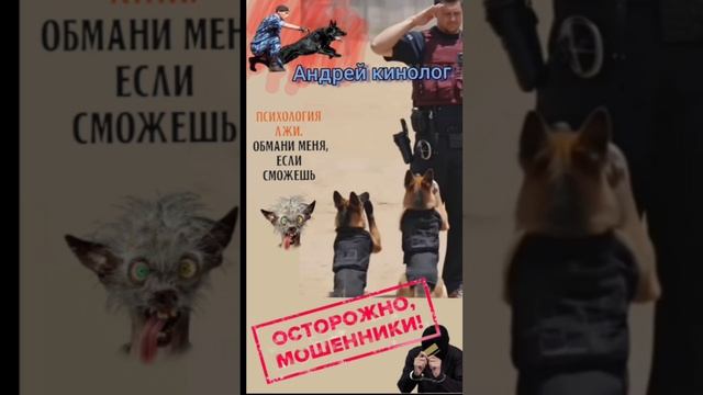 Продлеватели и инвест-гении! смотреть онлайн