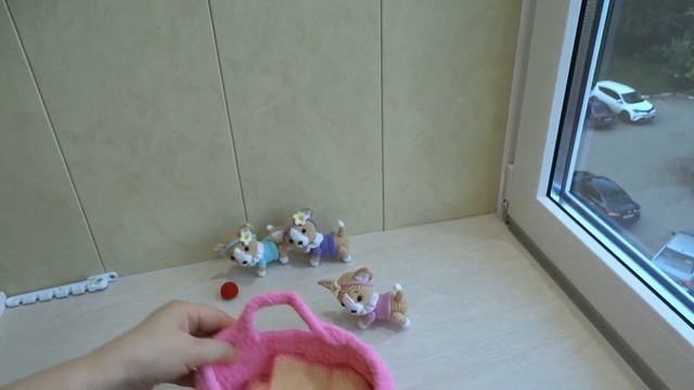 маленькая собачка