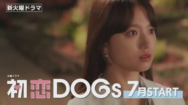 Hatsukoi DOGs PR