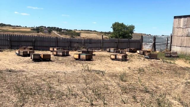 Цена на мед. Продажа меда. Итоги 2024 года смотреть онлайн