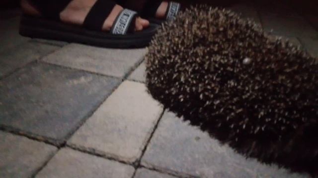 25.05.27 смотреть онлайн