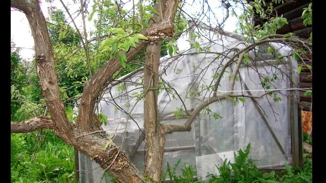 Этот дом Слова Павел Владыкин, муз , вокал Владислав Грозин 2009 г смотреть онлайн