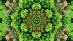 ＂LIVING SACRIFICE - INSTRUMENTAL＂ Laura C. (Worship⧸Meditation⧸Prayer Music⧸Angel Choir)