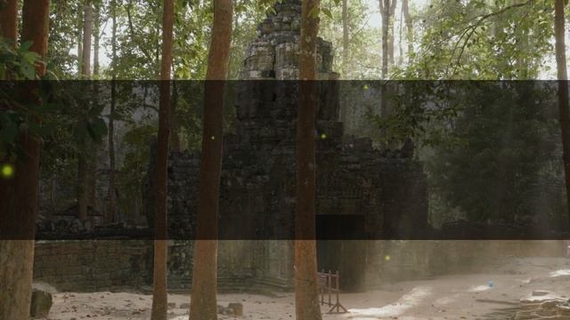 Мой муж без работы спланировал поездку, чтобы меня изм смотреть онлайн