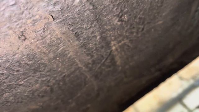 Пушсало +мастика спустя 5 лет.