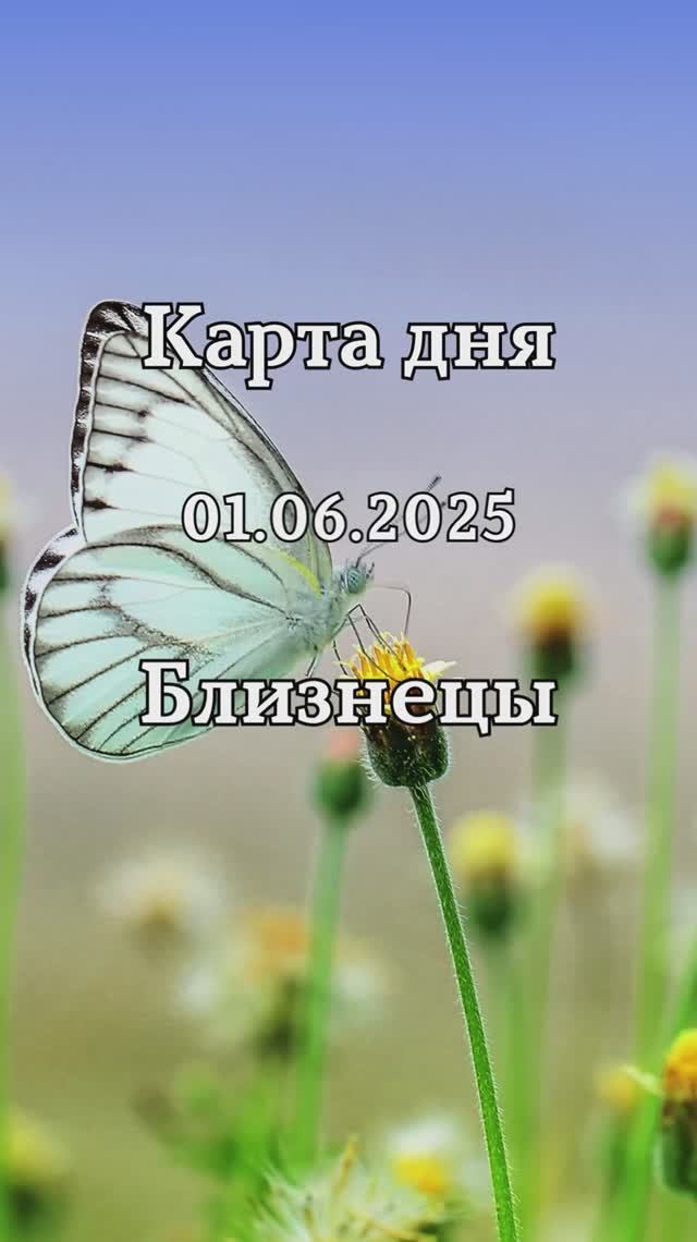 ✨Карта дня 01.06.2025✨ Близнецы смотреть онлайн