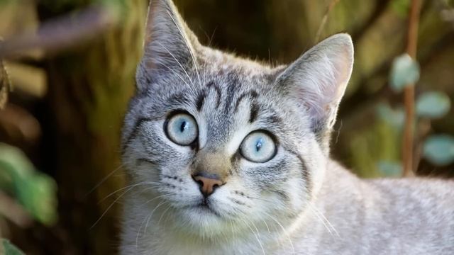 Немедленно пропиши в своей квартире мою дочь от перво? смотреть онлайн