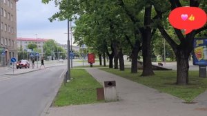 Из Петербурга в Таллинн. Как выглядят очереди на границах Россия Эстония и обратно. На чем доехать?