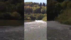 Хатанга 475 джет крутит пятаки под Марлин 40 лс.