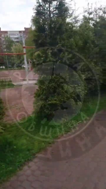 В Колпино Дружина задержала наркоманов, которые хотели зарезать женщину смотреть онлайн