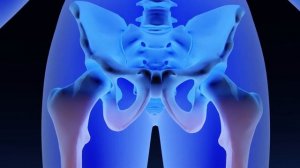 Обновление 2025: Матрица Гаряева для Тазобедренного Сустава ☀️ Петр Гаряев Матрица для ТАЗА новая