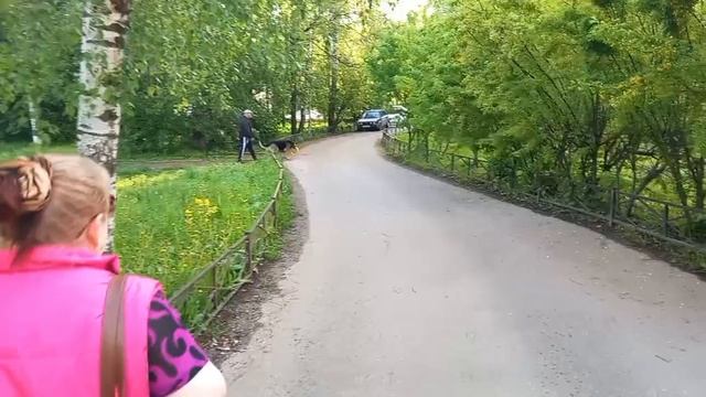 28 мая 2025. Майские моменты. смотреть онлайн