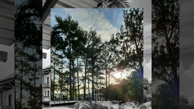 Французский Иностранный Легион.Южная Америка