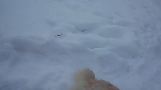 Изображение 106 смотреть онлайн