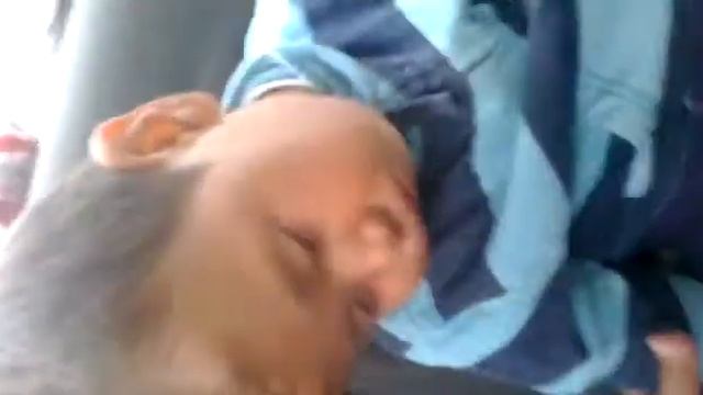 Дальняя дорога ! смотреть онлайн