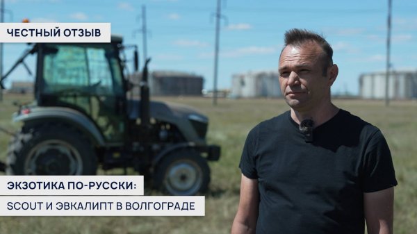 Выращивание экзотики: эвкалипт и SCOUT  SERIES TE в Центральной России | Честный отзыв🐨