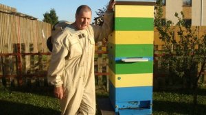 Использование перегородок с двойной решеткой у меня на пасеке.