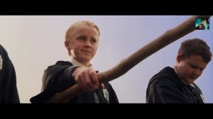 Гари потер и мандавошка. Гоблинский перевод. Часть 10