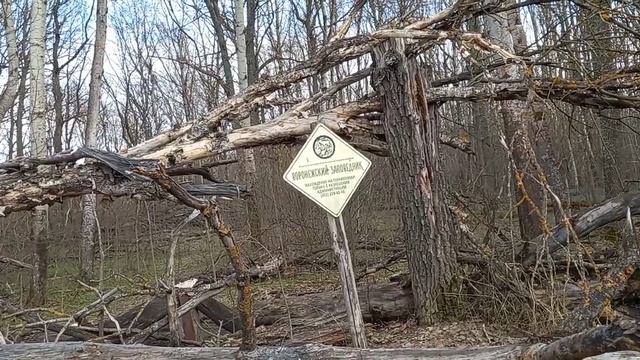 Пожарные не проедут! Когда наведут порядок? Проблемы В